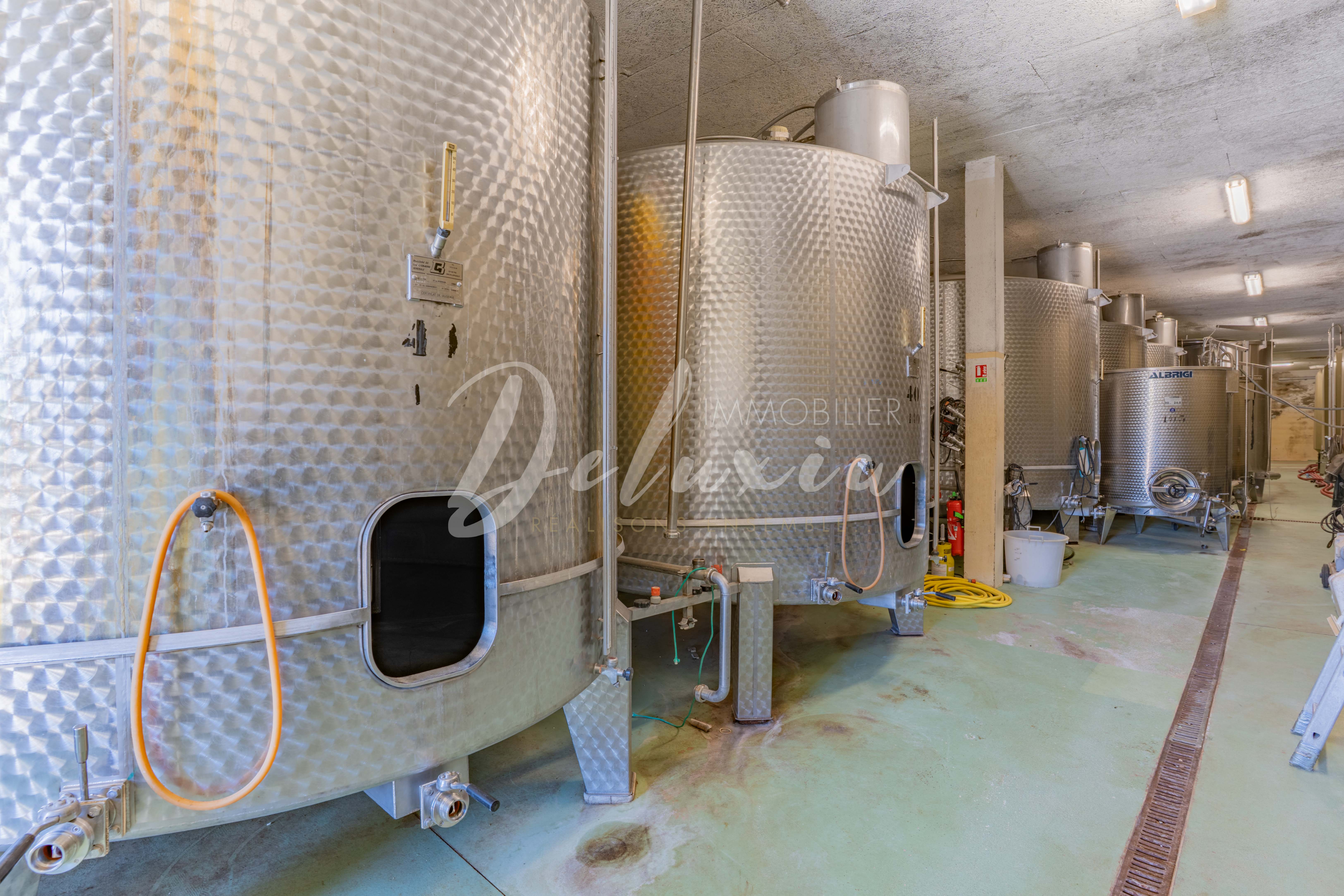 Chai de vinification avec cuves inox – exploitation viticole opérationnelle en AOP Côtes de Provence