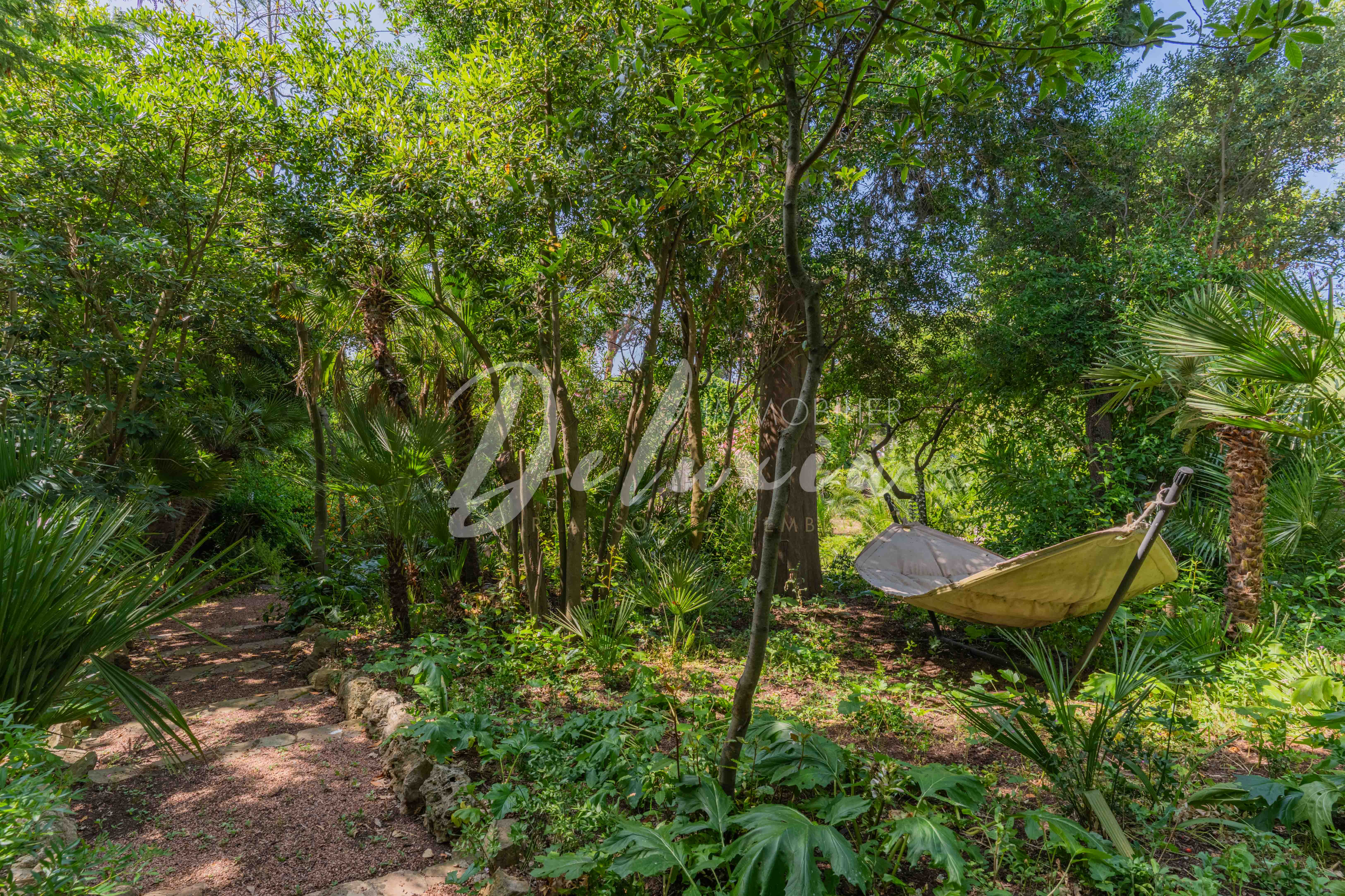 Villa à vendre avec de grands espaces verts dans le Sud de la France
