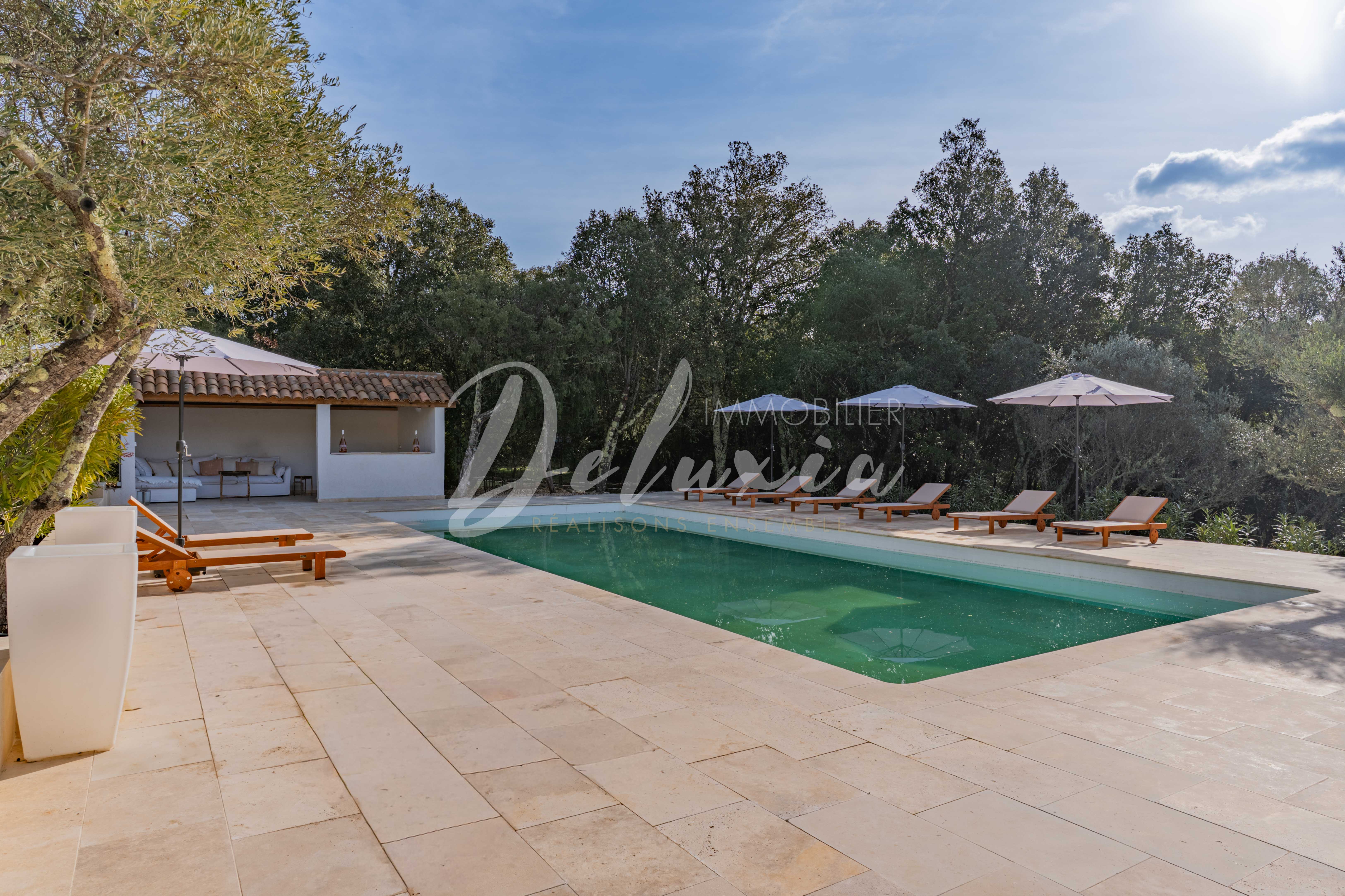 Villa à vendre avec grande piscine au sel au Thoronet 