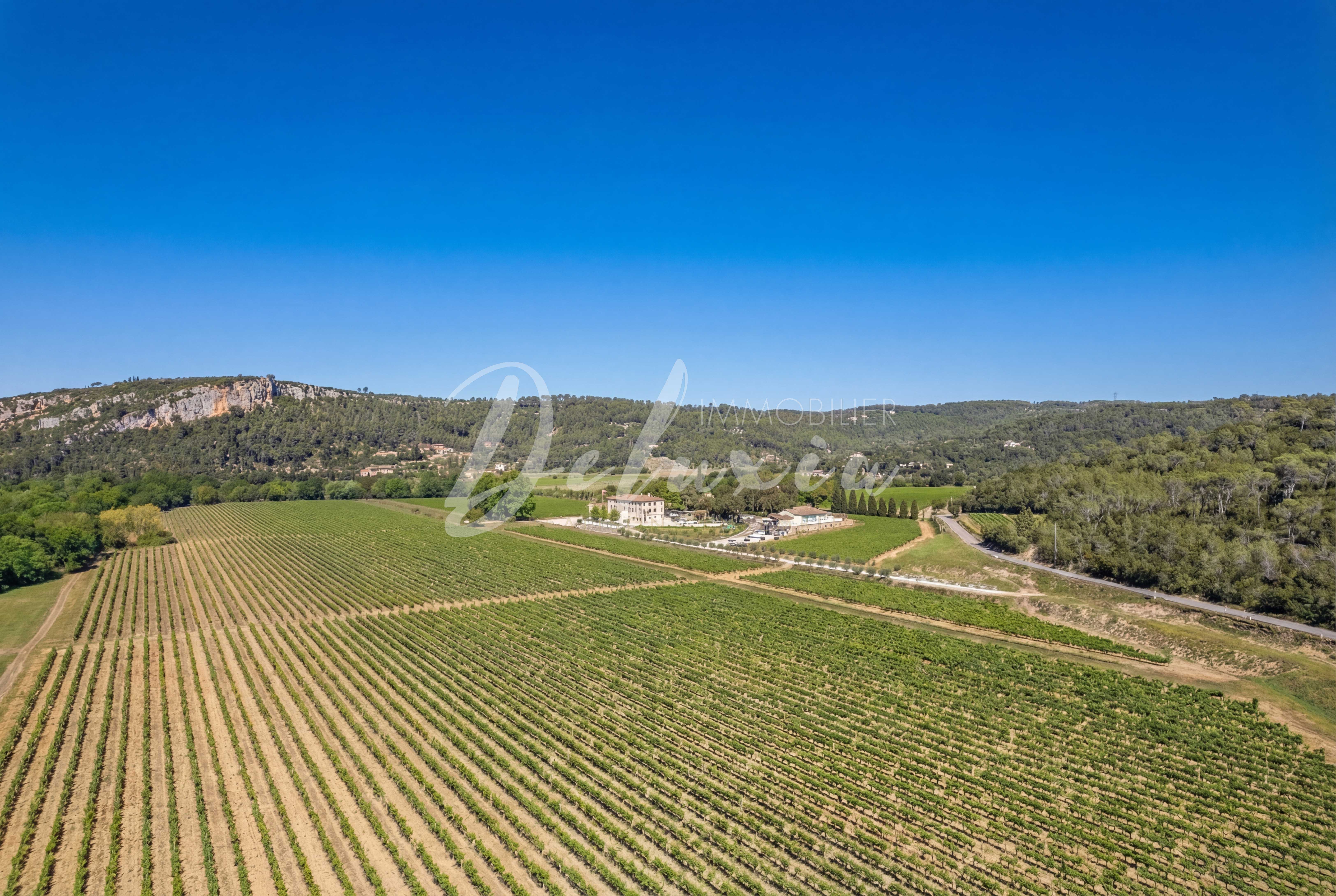 Domaine viticole avec plusieurs cépages de vignes, Cabasse