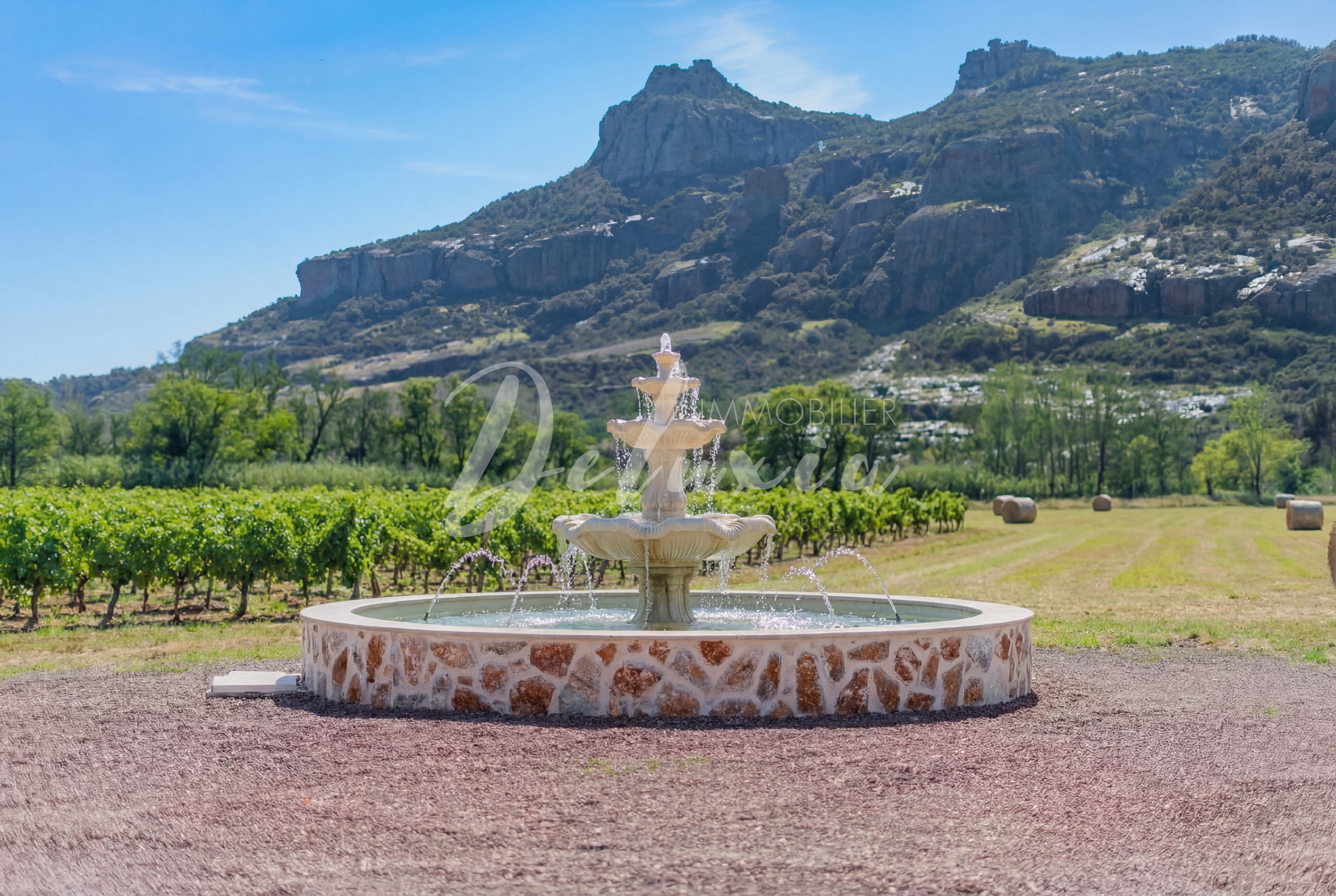 Cadre authentique avec fontaine provençale face aux vignes.