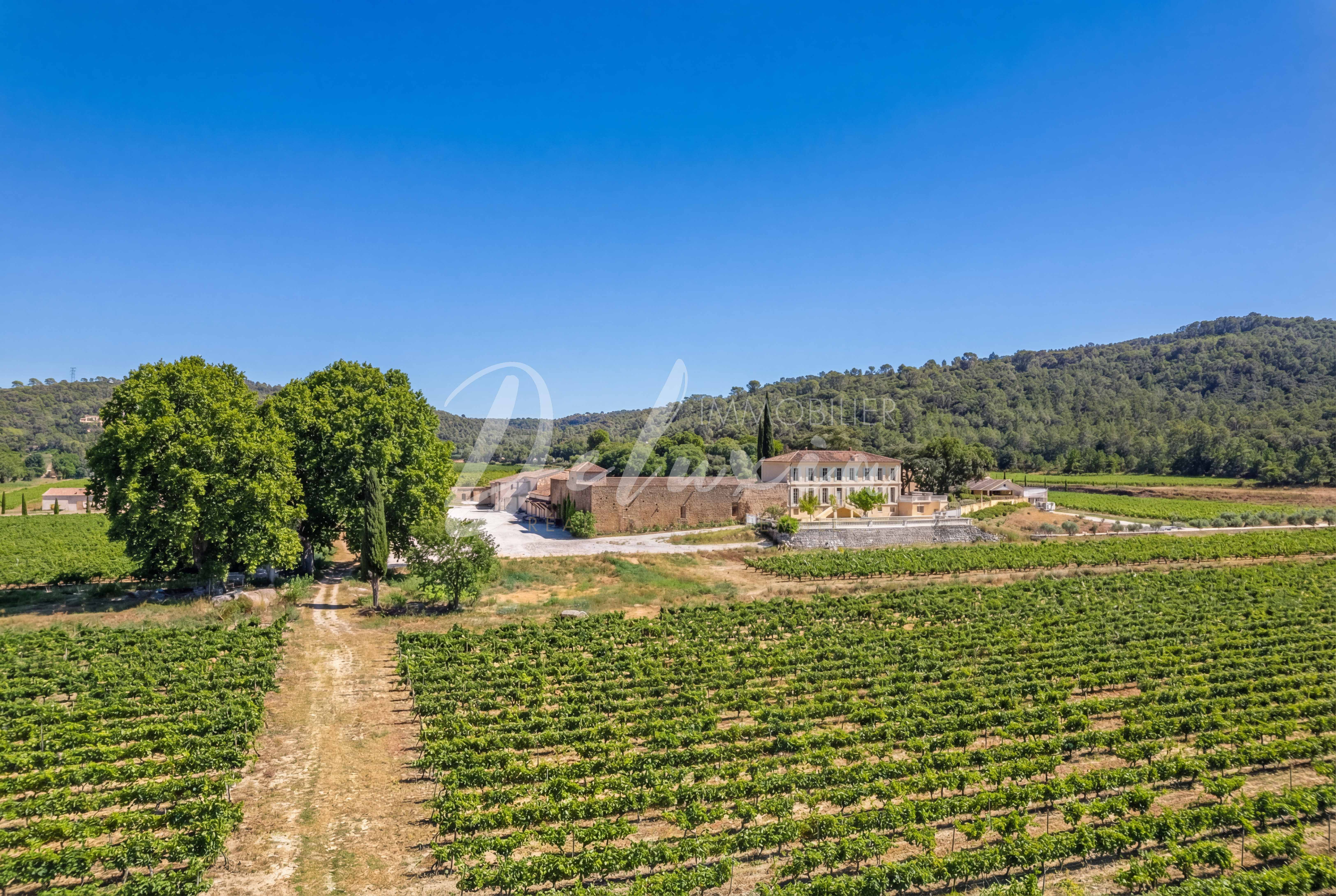 Vignes en production autour de la propriété – terroir reconnu en Provence