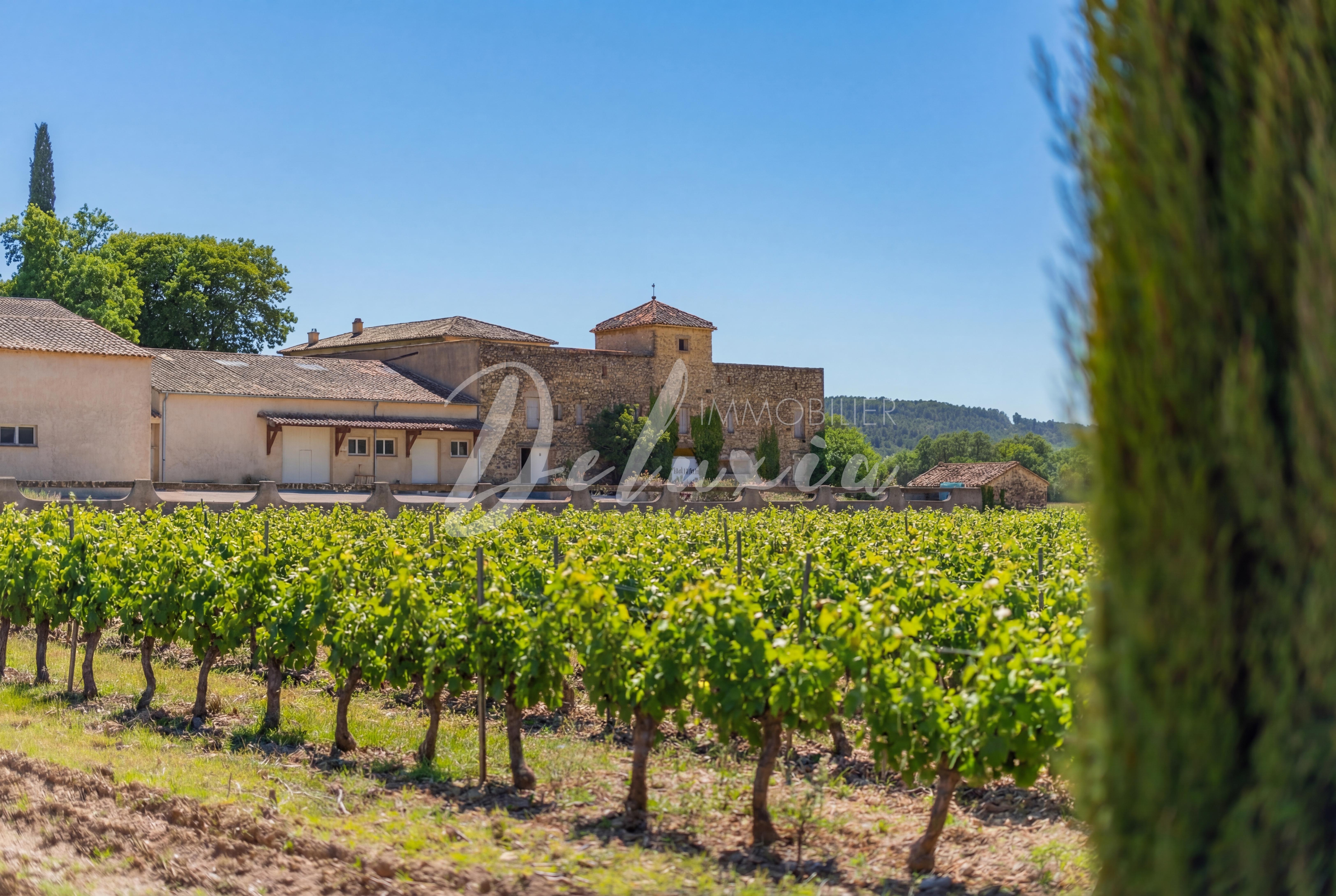 Acheter un domaine viticole dans le Sud de la France