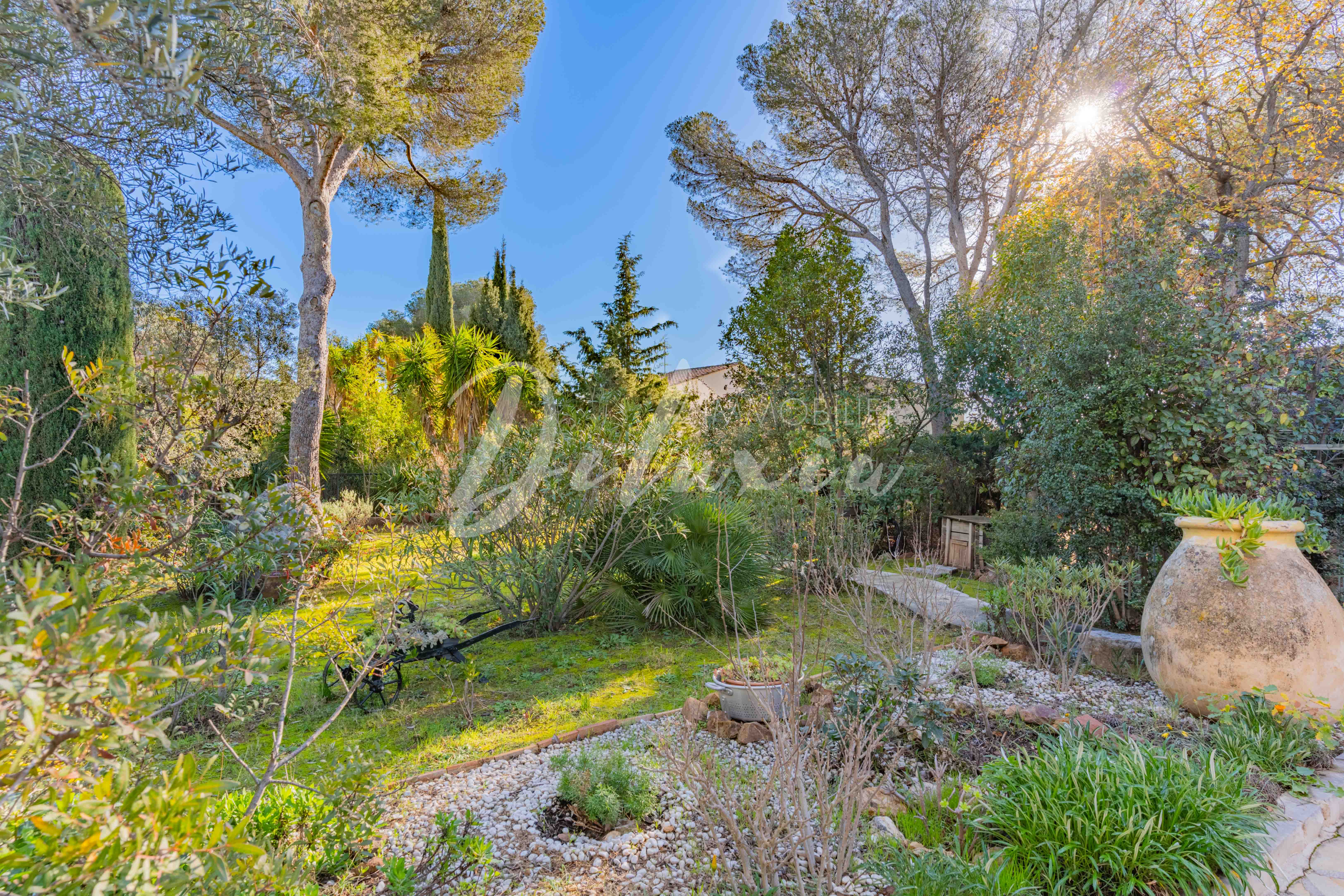 Jardin