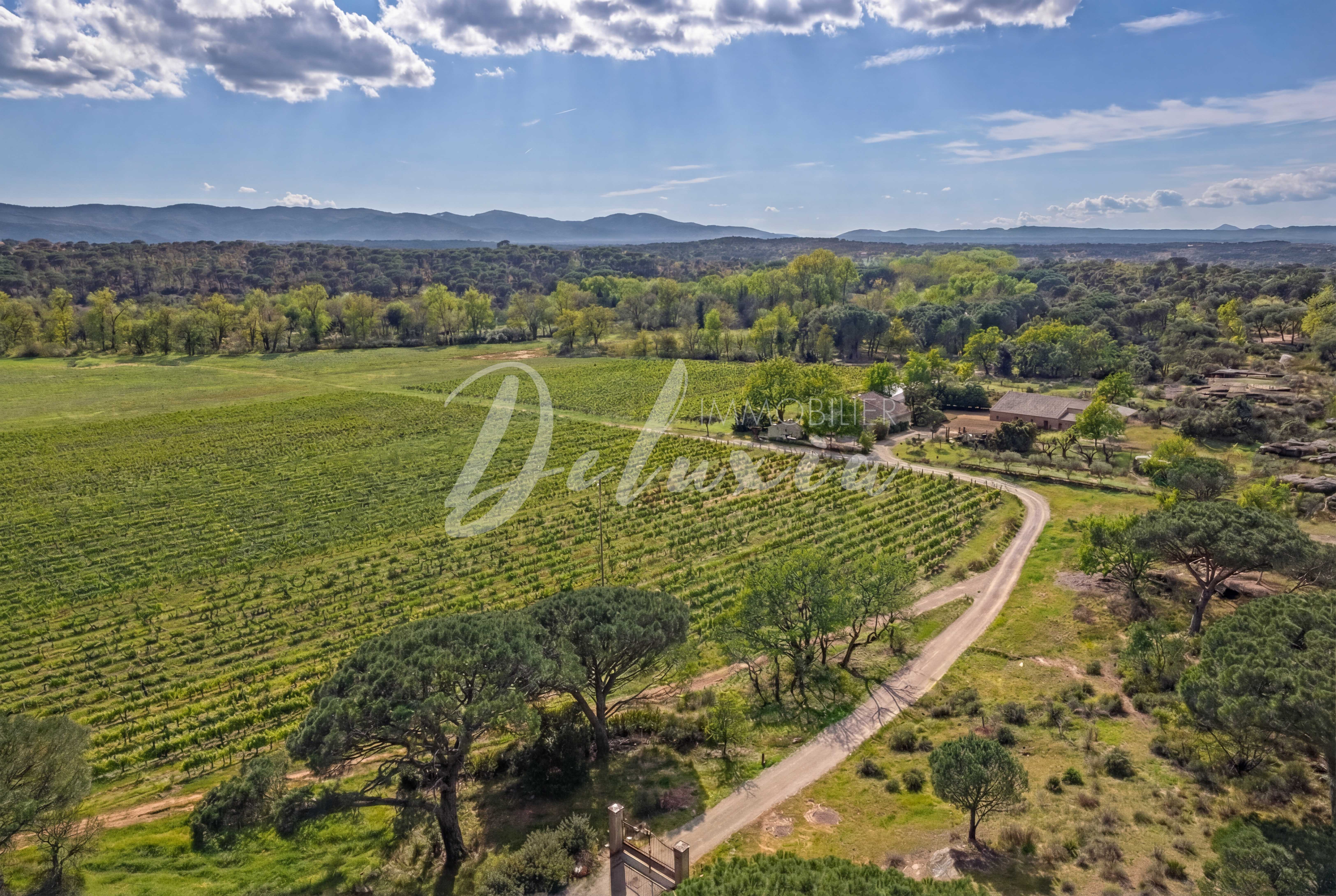 Propriété viticole AOC Côtes de Provence & IGP au coeur d'un écrin naturel, Vidauban.
