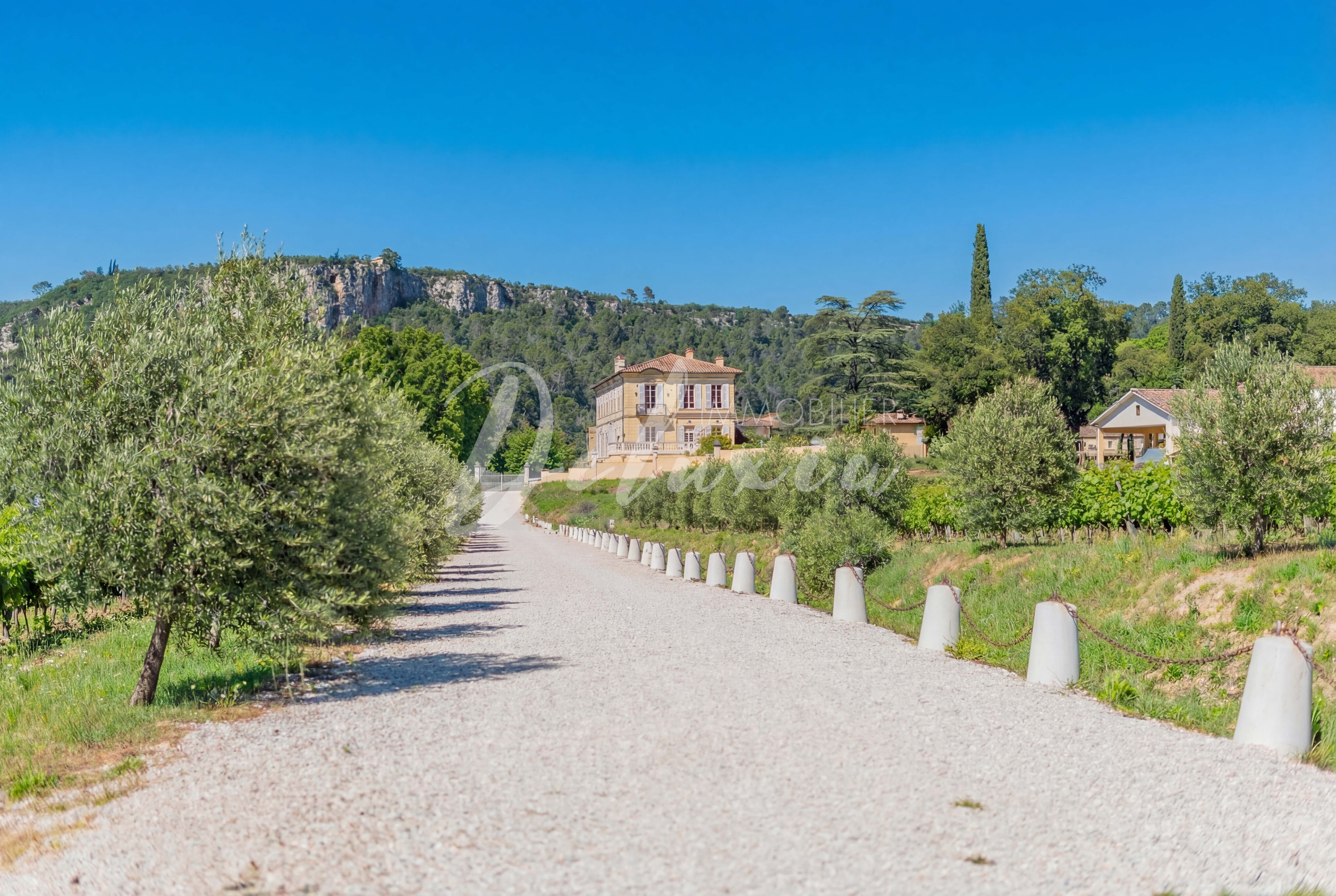 Allée d’accès privative menant à la bastide du XVIIIᵉ siècle au sein du domaine viticole en AOP Côtes de Provence
