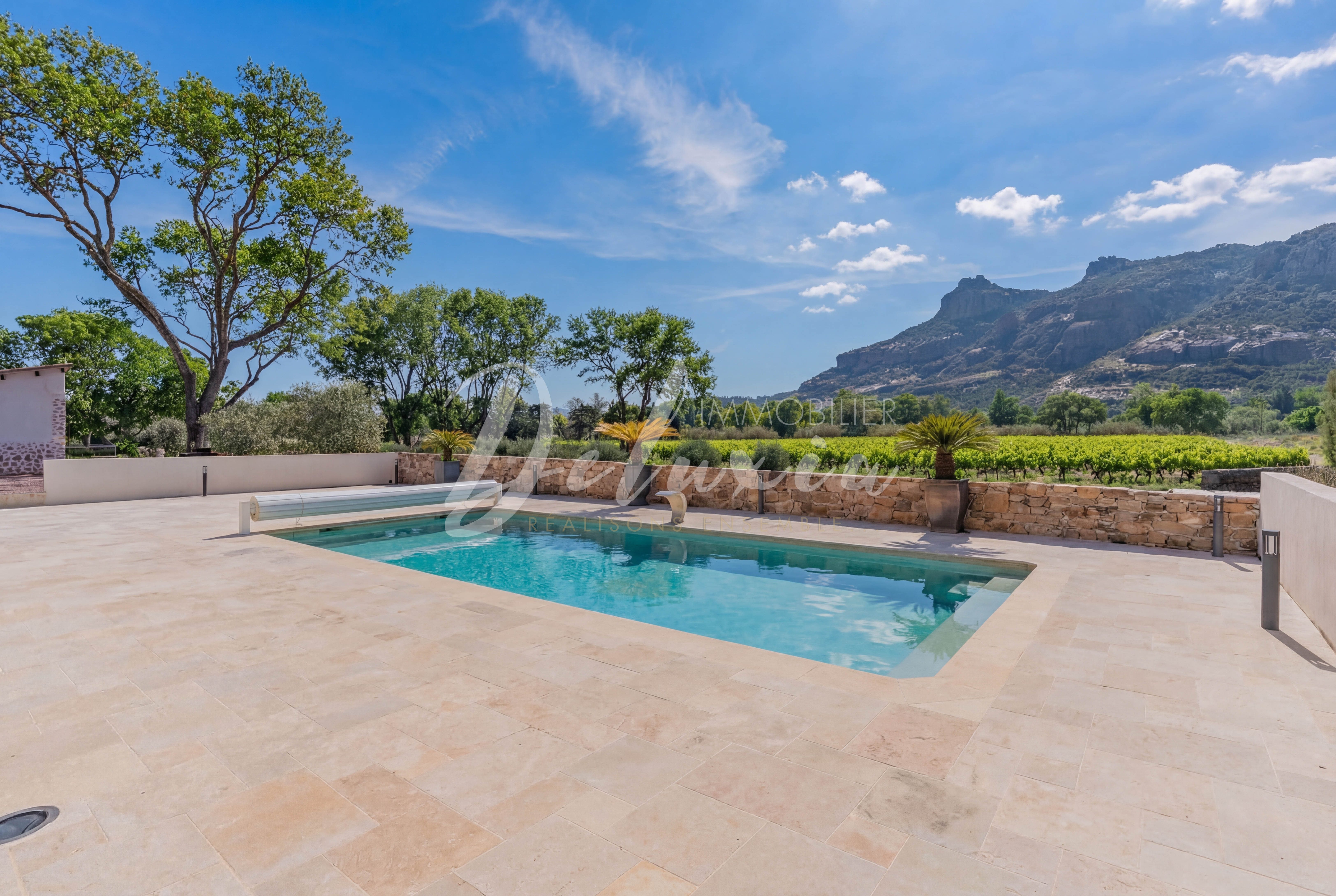 Acheter un domaine viticole avec piscine dans le sud de la France.