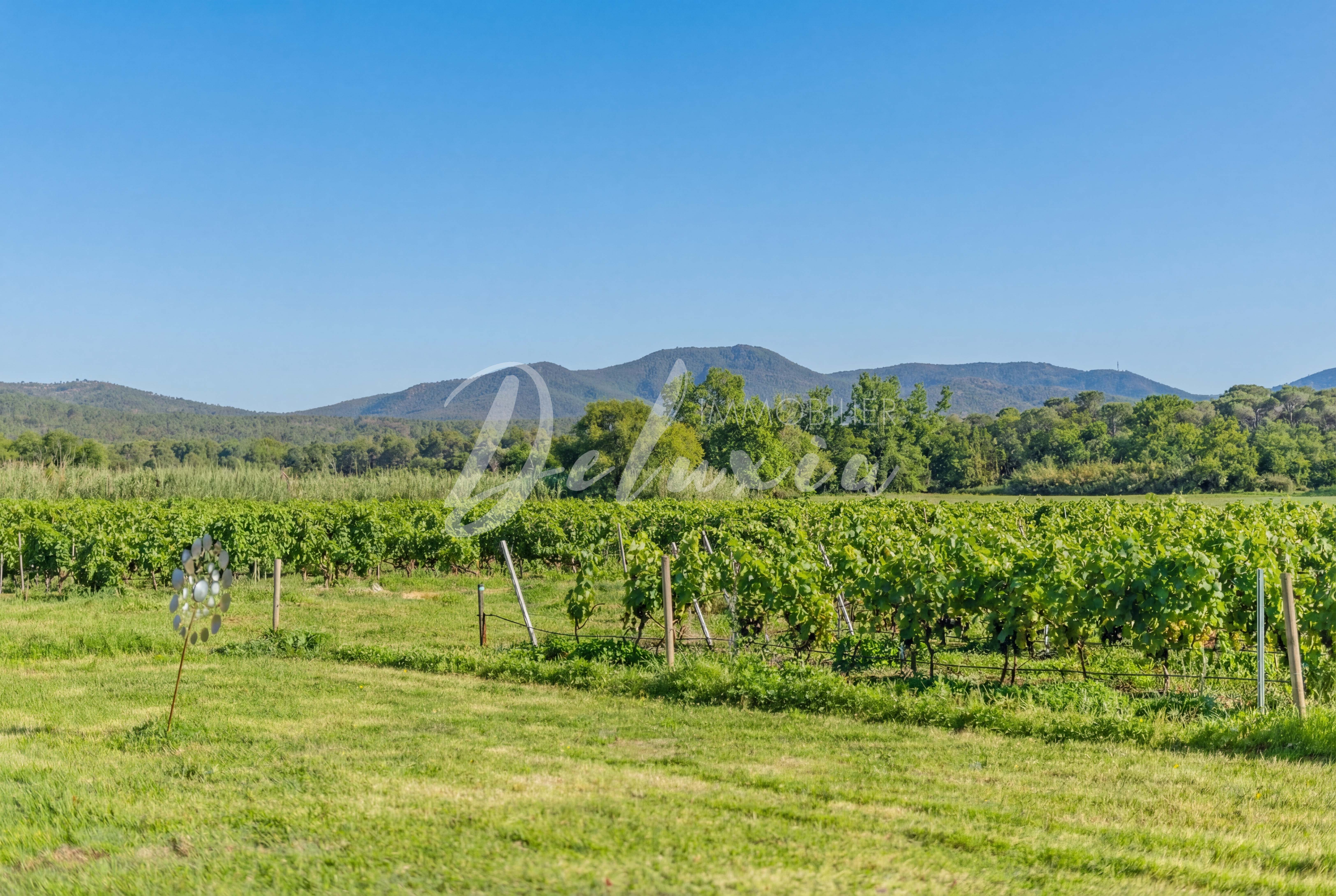 Propriété viticole AOC Côtes de Provence & IGP au coeur d'un écrin naturel, Vidauban.