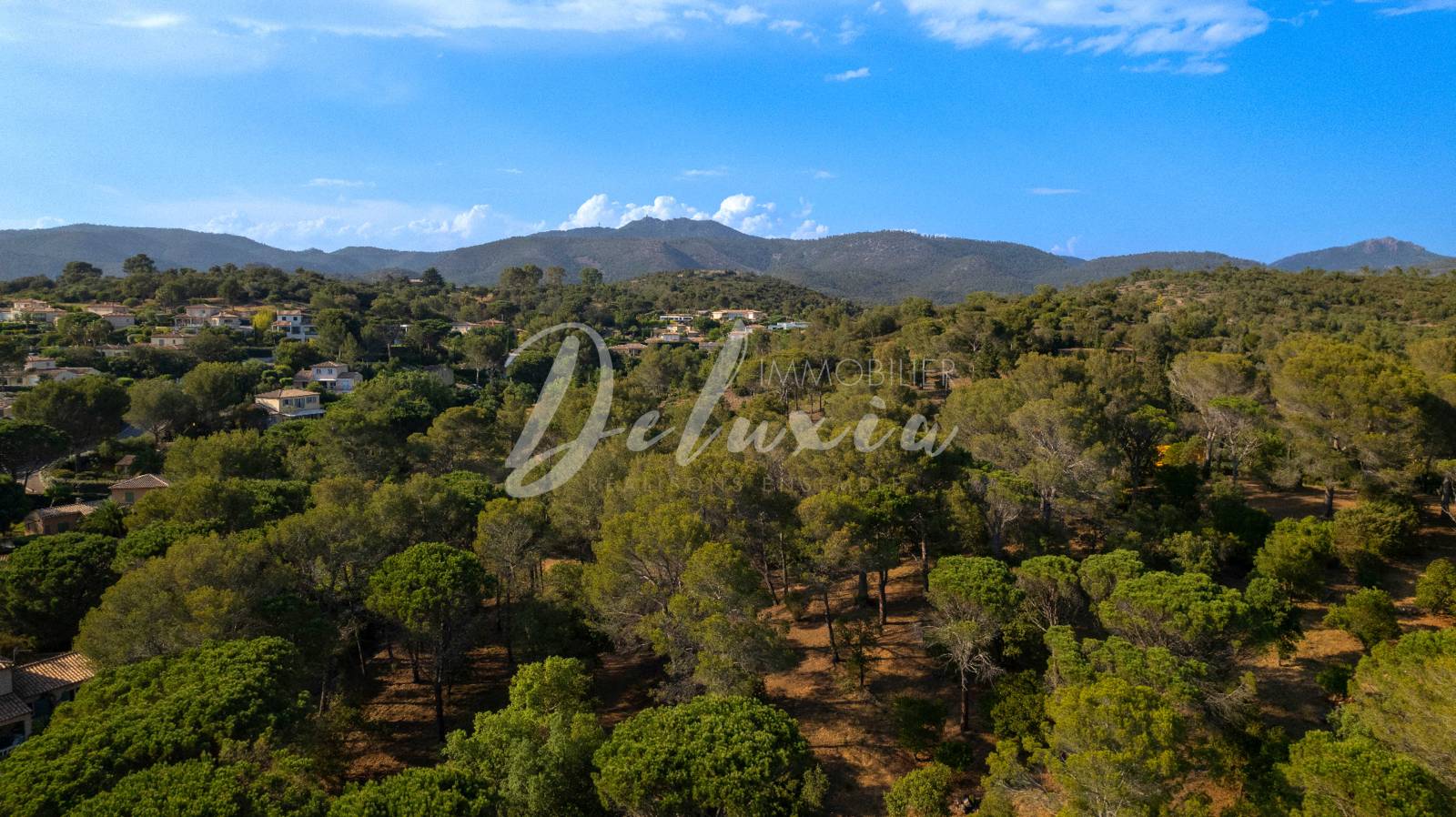 agence immobilière Saint-Raphaël 