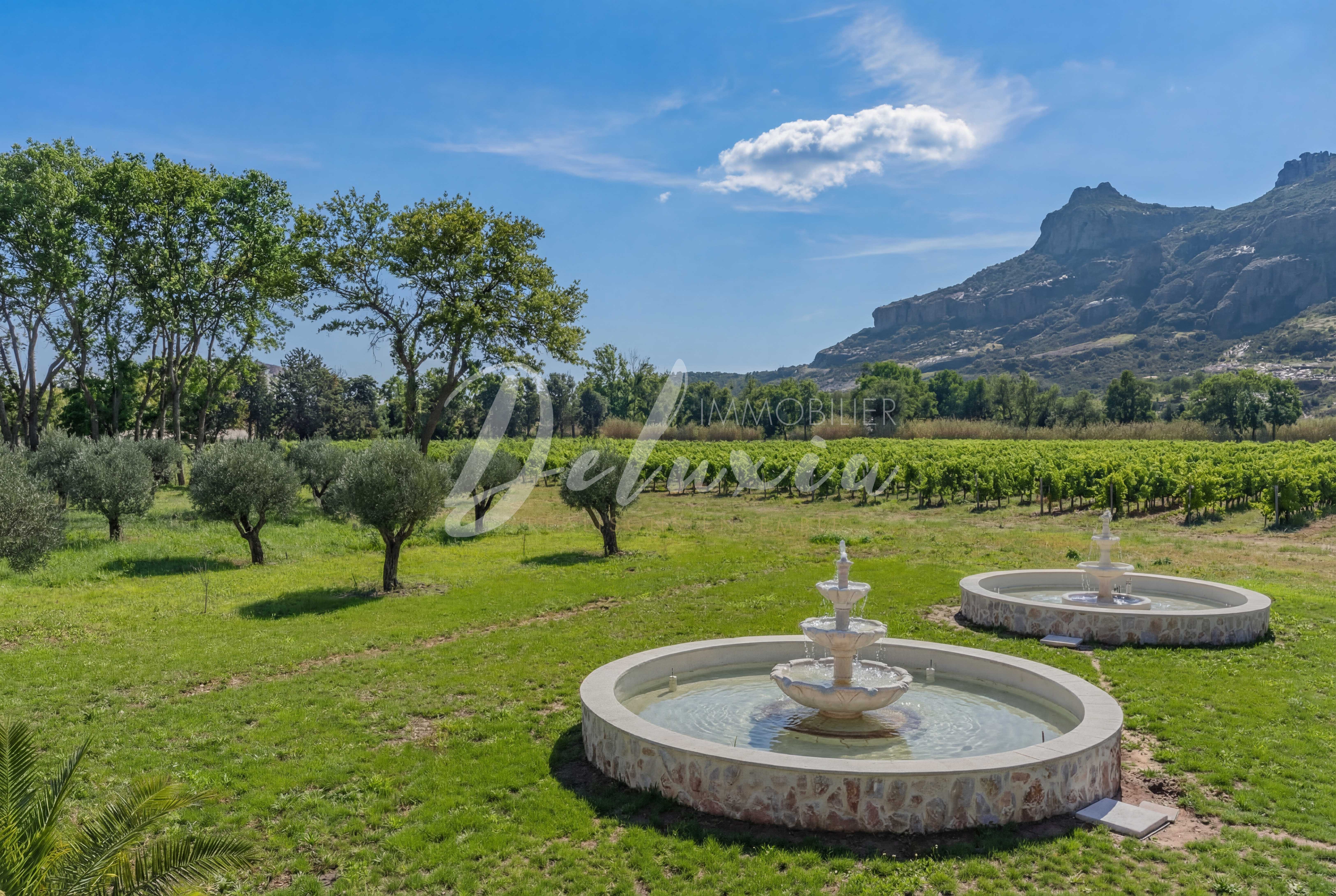 Domaine à vendre avec fontaines, vignes et oliviers, Le Muy. 
