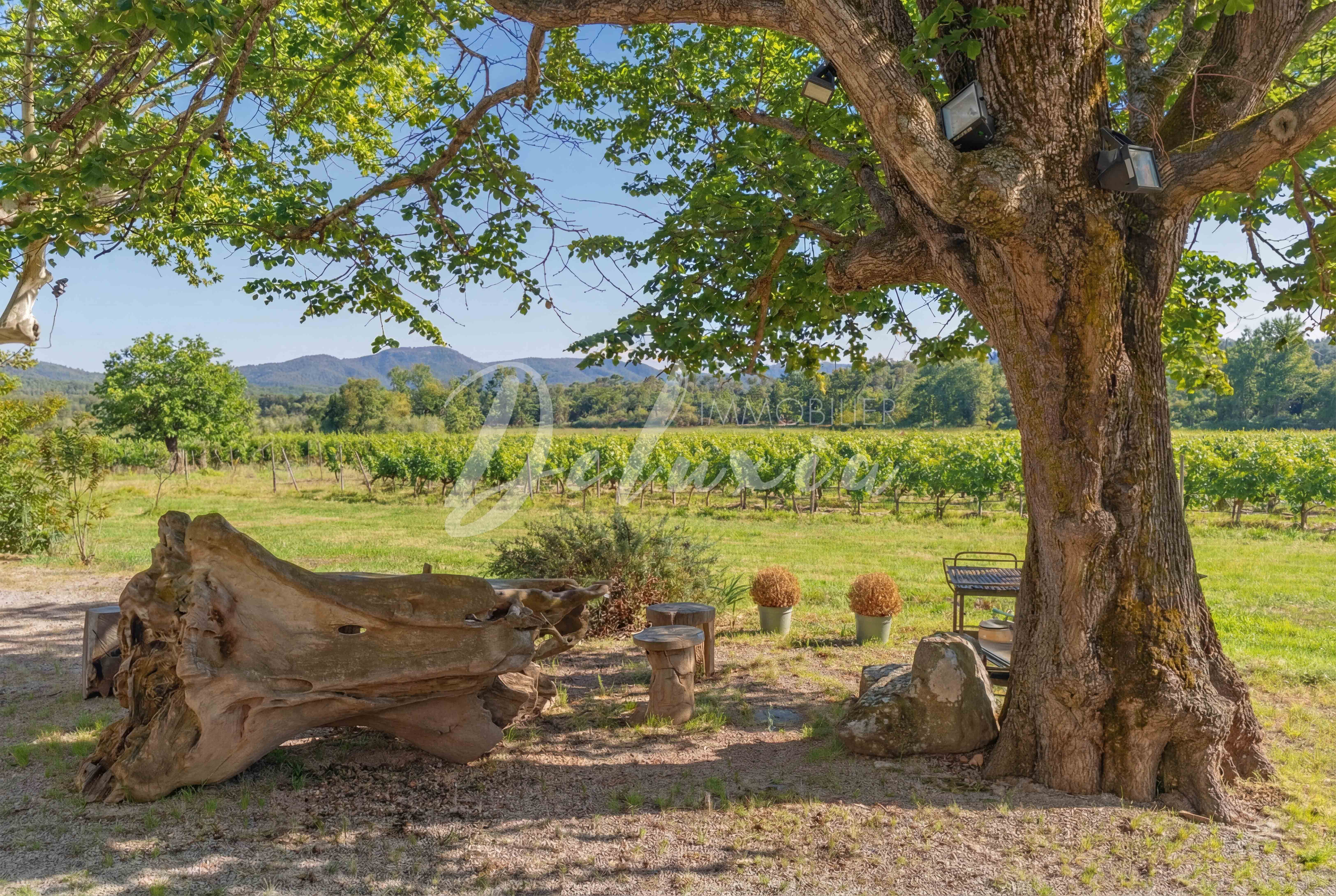 Propriété viticole AOC Côtes de Provence & IGP au coeur d'un écrin naturel, Vidauban.