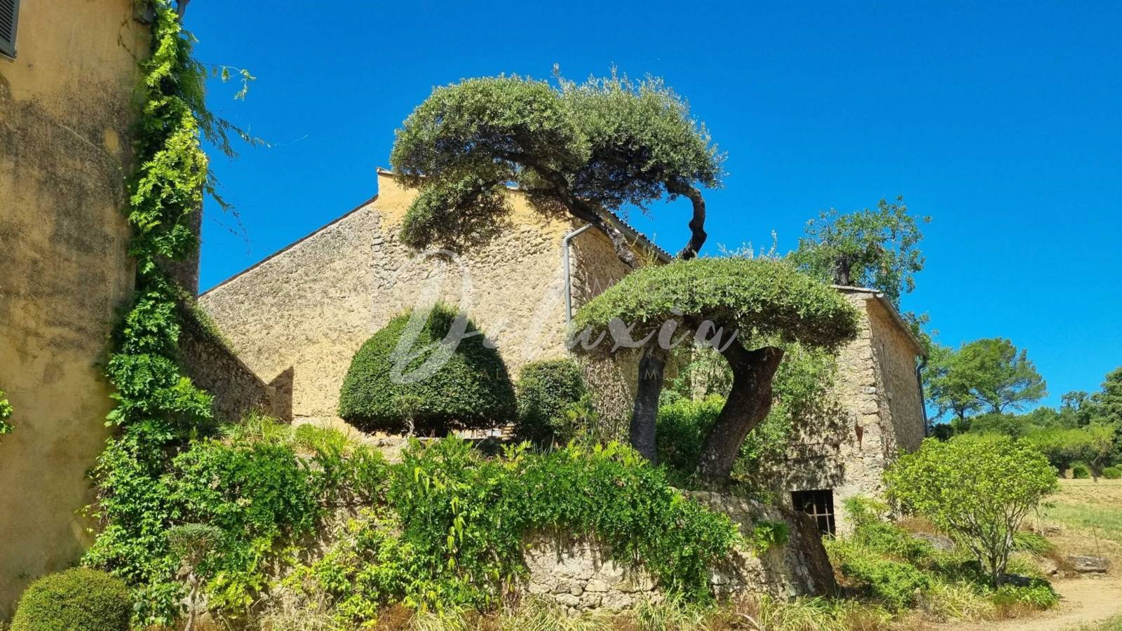 Domaine viticole avec vignes AOP situé à Lorgues.