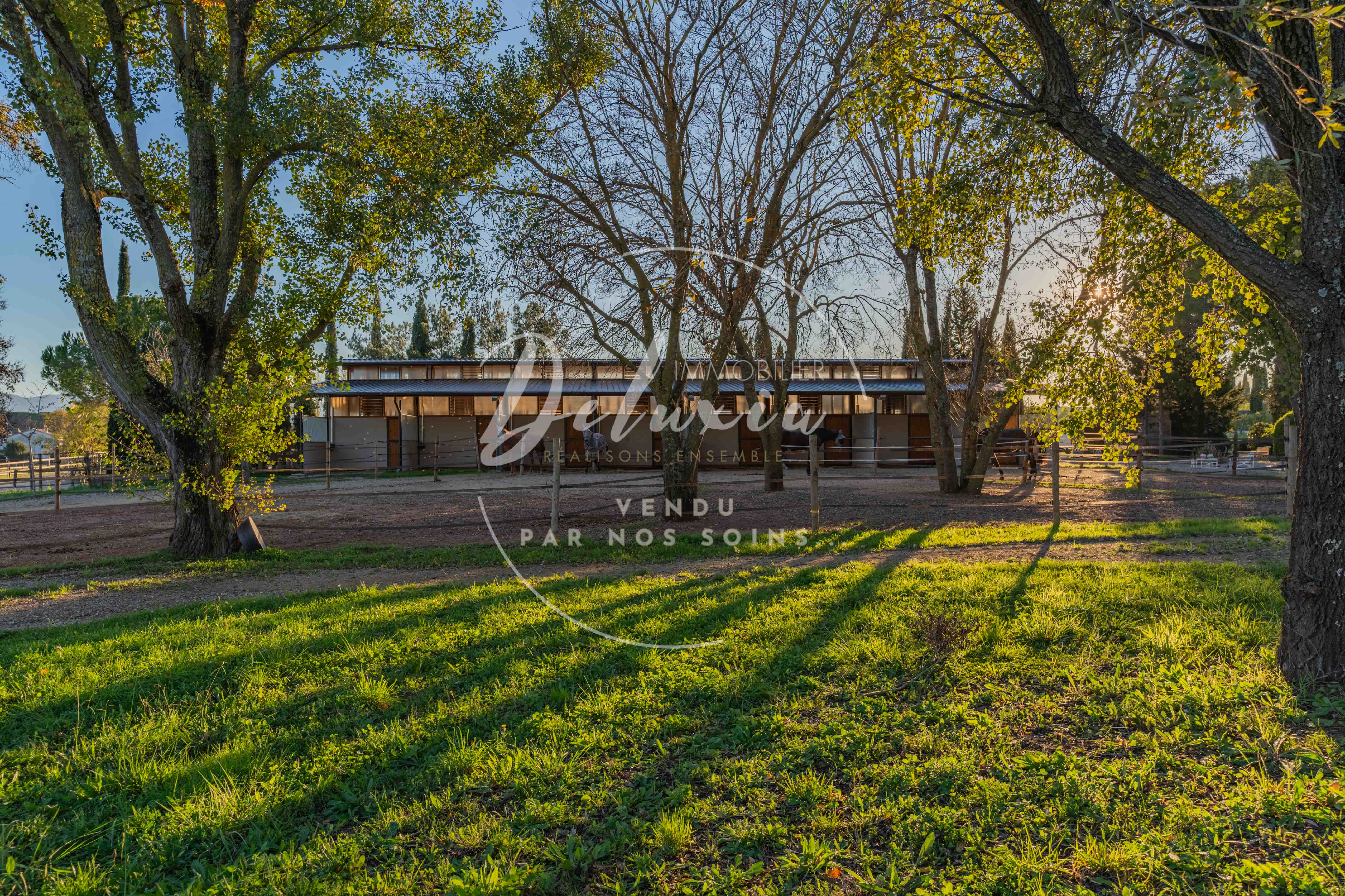 Harmonie équestre : Propriété prestigieuse à Vidauban, Var.