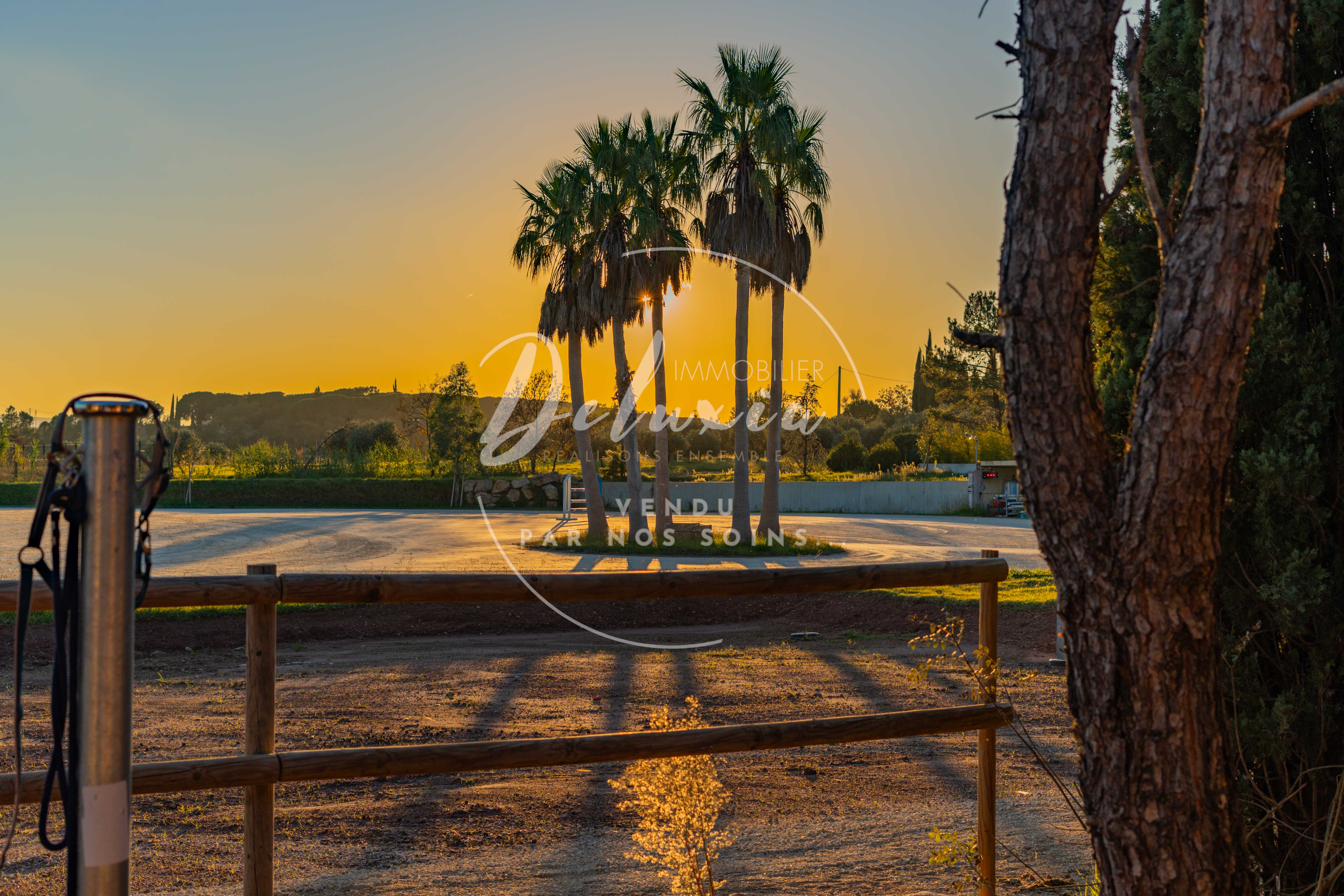 Harmonie équestre : Propriété prestigieuse à Vidauban, Var.