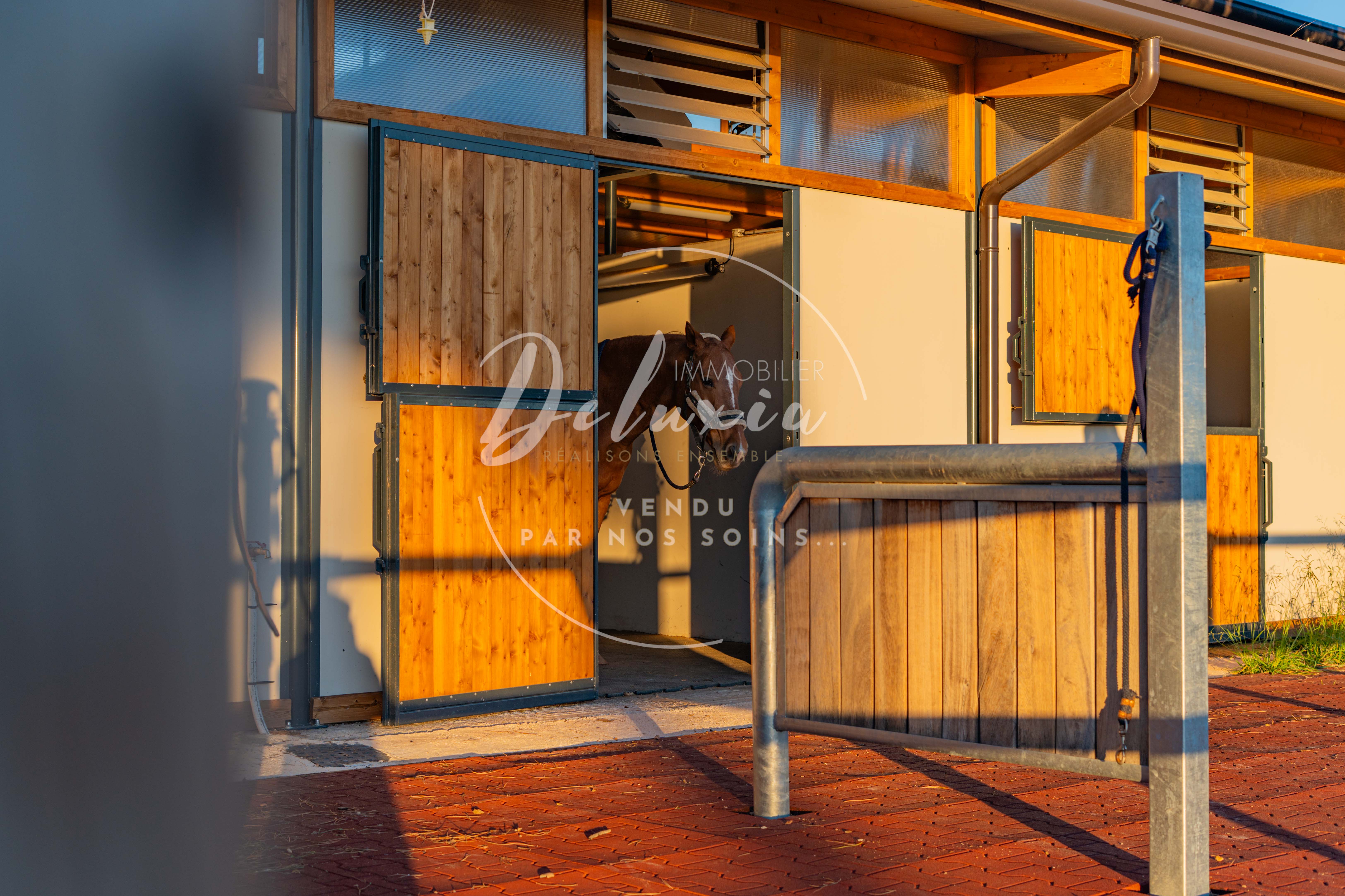 Harmonie équestre : Propriété prestigieuse à Vidauban, Var.