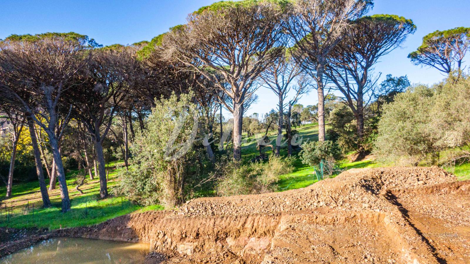 Achat terrain proche des golfs à Saint-Raphaël
