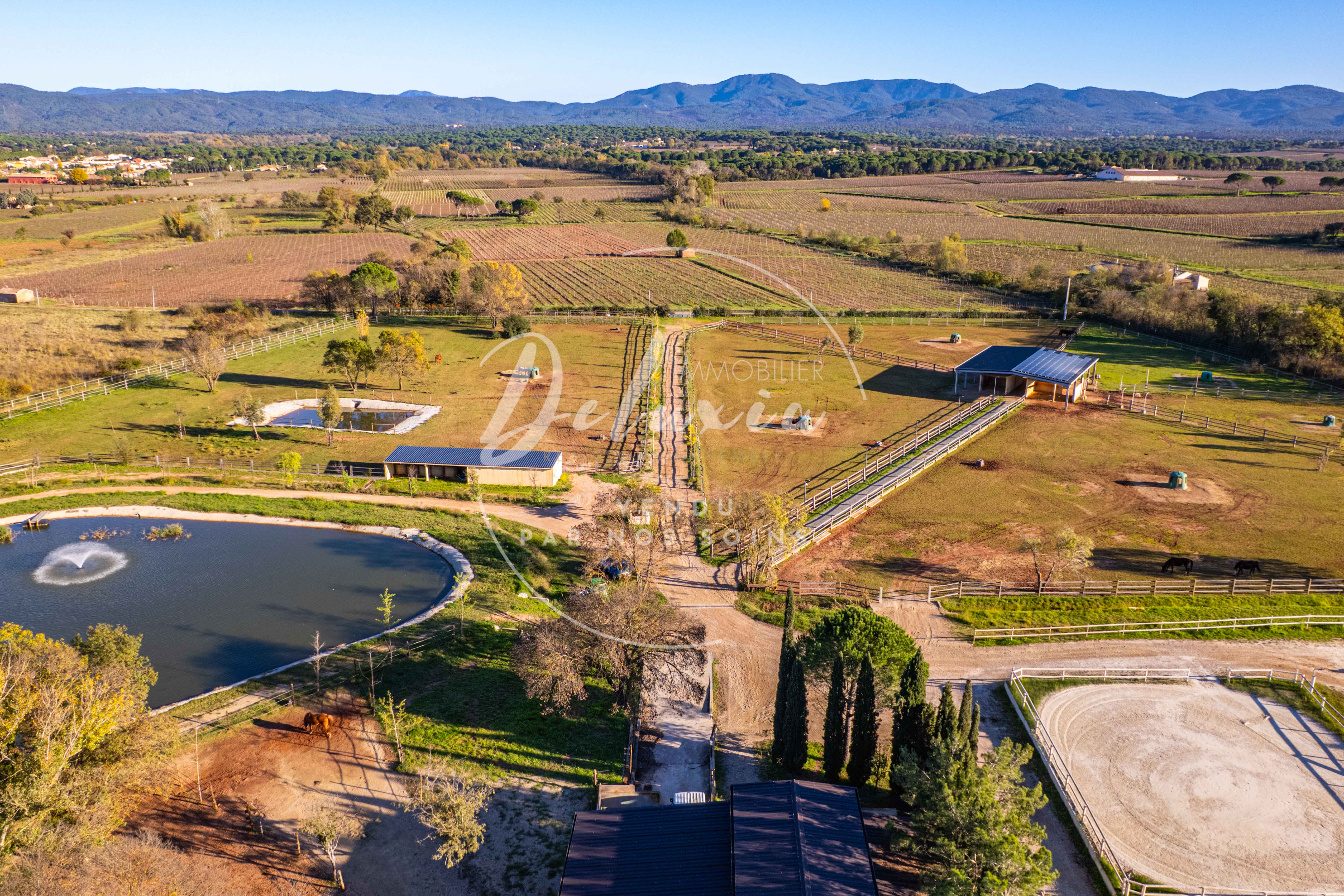 Harmonie équestre : Propriété prestigieuse à Vidauban, Var.