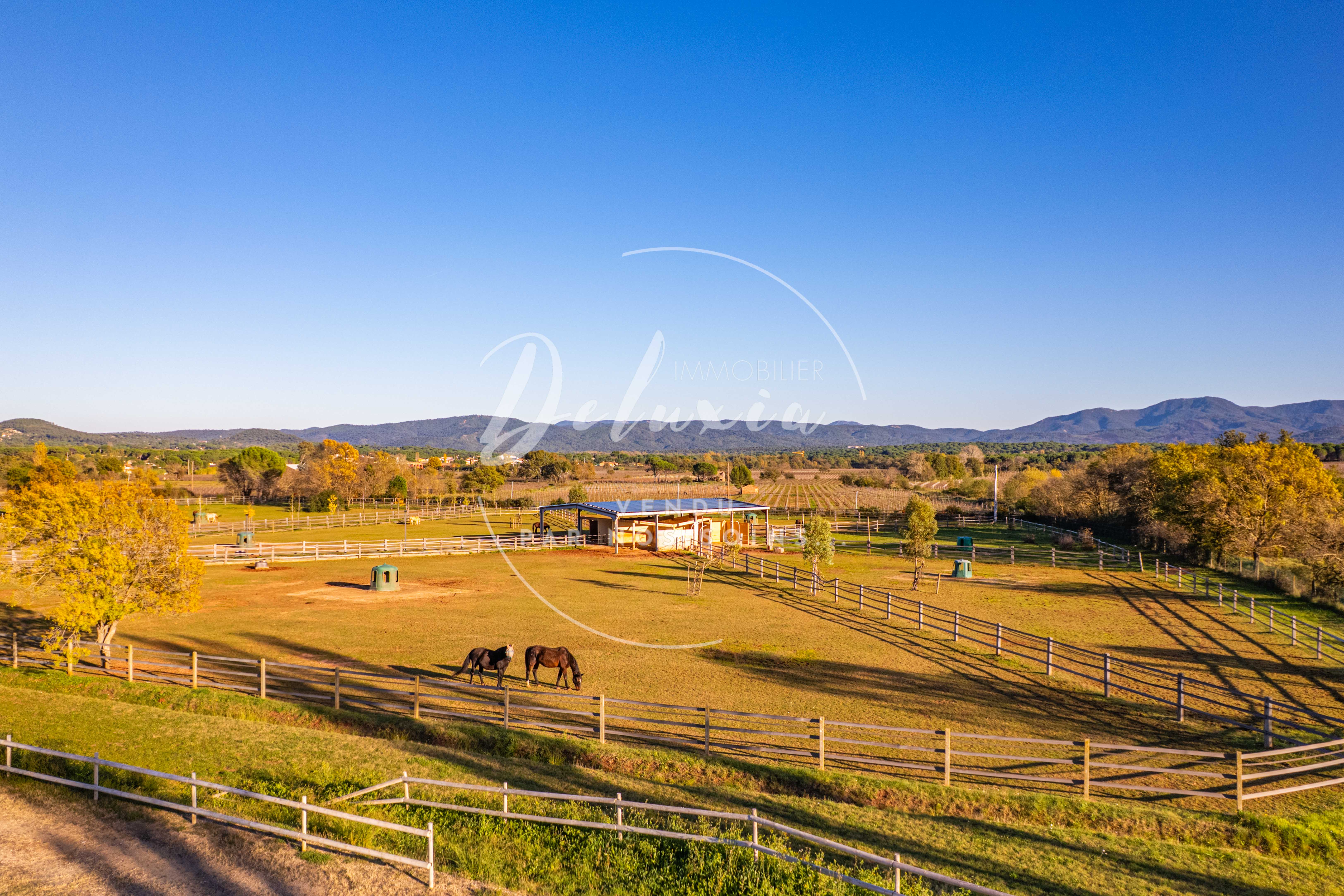 Harmonie équestre : Propriété prestigieuse à Vidauban, Var.