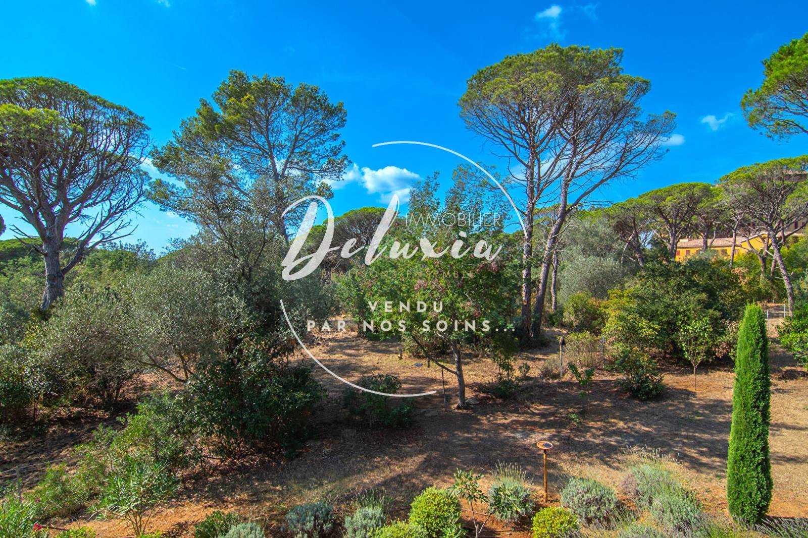 Achat appartement Saint-Raphaël 