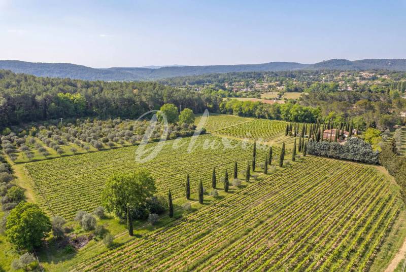 Domaine viticole à vendre à Villecroze dans le Var, au cœur de la Provence, entouré de vignes, forêts et collines.